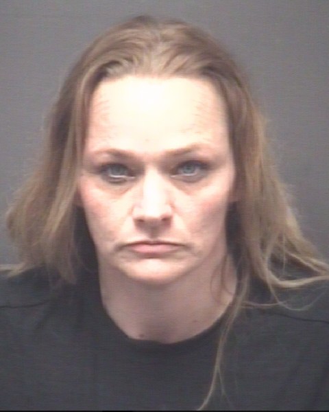 Pitt County NC -- Charges Inquiry Search Results