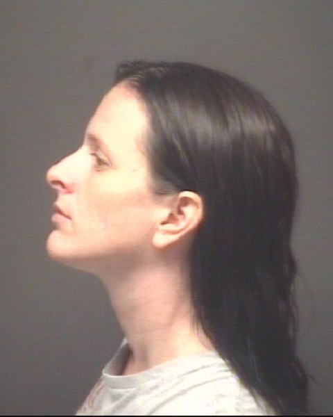Pitt County NC -- Charges Inquiry Search Results